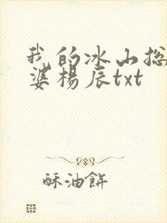 我的冰山总裁老婆杨辰txt