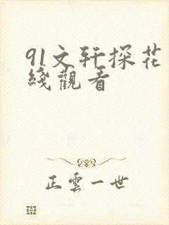 91文轩探花在线观看