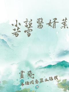 小说医婿叶凡唐若雪