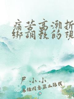 痛苦高潮折磨捆绑调教的视频