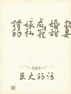 错嫁成婚 总裁的私宠甜妻