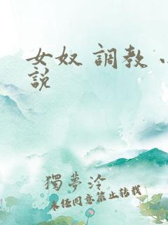 女奴 调教 小说