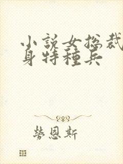 小说女总裁的贴身特种兵