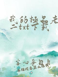 我的极品老婆小二txt下载