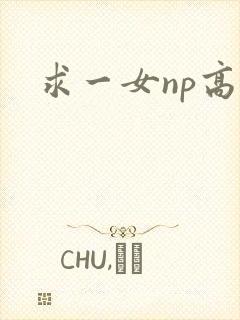 求一女np高h