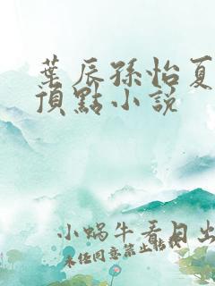 叶辰孙怡夏若雪顶点小说