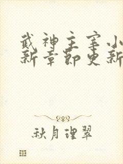 武神主宰小说最新章节更新