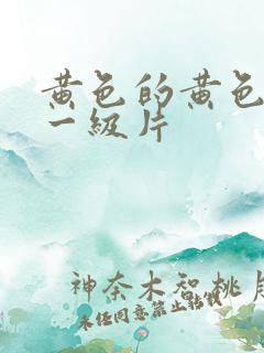 黄色的黄色录像一级片