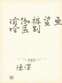 瑜伽裤鲨鱼裤有啥区别