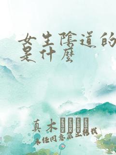 女生阴道的白浆是什么