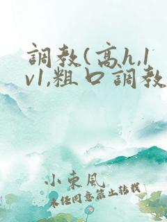 调教(高h,1v1,粗口调教