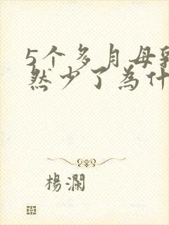 5个多月母乳突然少了为什么