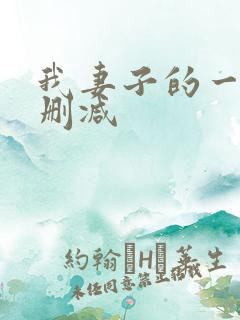 我妻子的一切无删减