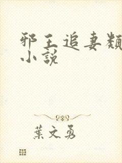 邪王追妻类似的小说