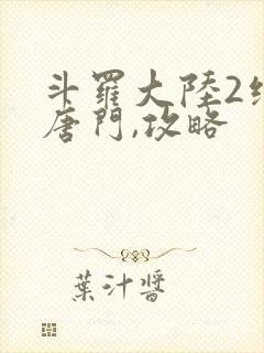 斗罗大陆2绝世唐门,攻略