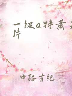 一级a特黄夫妻片