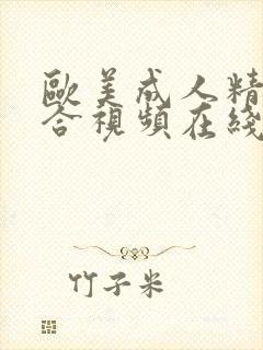 欧美成人精品综合视频在线