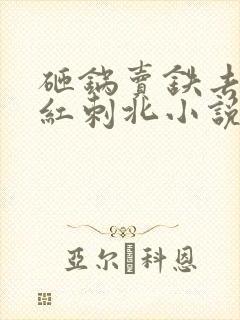 砸锅卖铁去上学红刺北小说无删减在线阅读