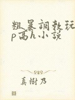 粗暴调教玩弄np高h小说