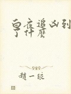 白夜追凶到底讲了什么