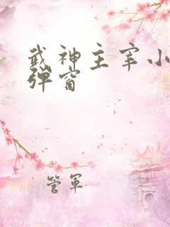 武神主宰小说无弹窗