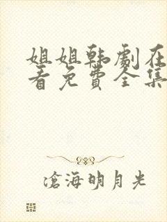 姐姐韩剧在线观看免费全集高清