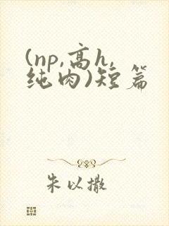 (np,高h,纯肉)短篇