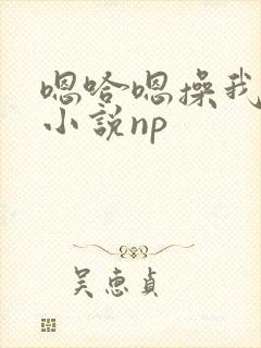 嗯哈嗯操我嗯啊小说np