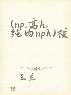 (np,高h,纯肉nph)校园
