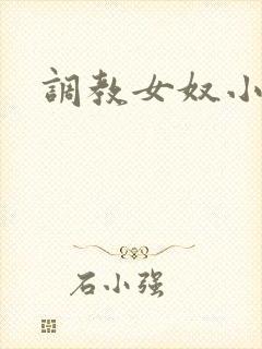 调教女奴小说网