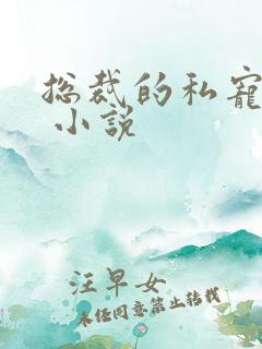 总裁的私宠甜妻 小说