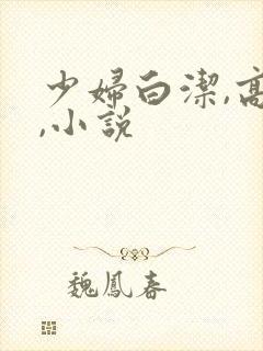少妇白洁,高义,小说