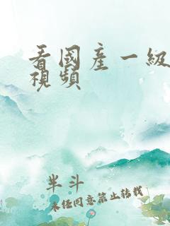 看国产一级美女视频