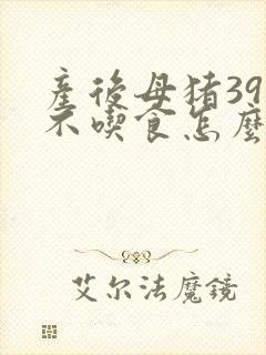 产后母猪39度不吃食怎么治疗