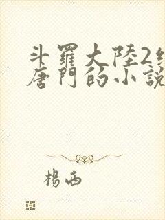 斗罗大陆2绝世唐门的小说