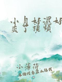 小月好湿好紧太爽了视频