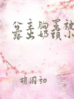 公主胸罩被解开露出奶头小说