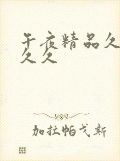 午夜精品久久久久久