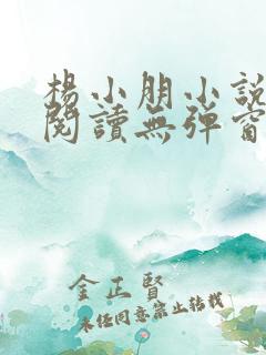 杨小朋小说免费阅读无弹窗