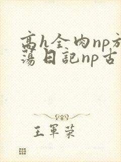高h全肉np放荡日记np古代