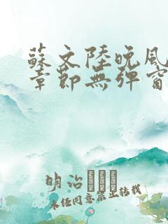 苏文陆晚风最新章节无弹窗笔趣阁