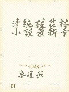 清纯校花林幼然小说最新章节