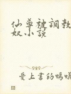 仙尊被调教成骚奴小说