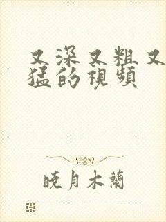 又深又粗又爽又猛的视频