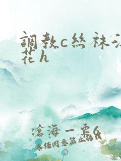 调教c丝袜淫校花h