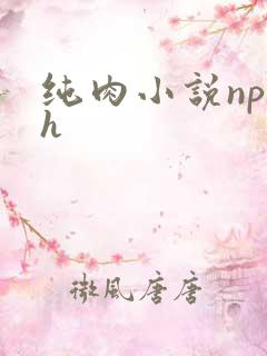 纯肉小说np高h