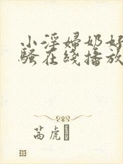 小淫妇奶好大好骚在线播放