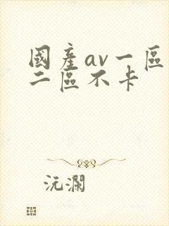 国产av一区,二区不卡