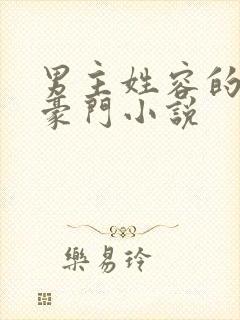 男主姓容的现代豪门小说