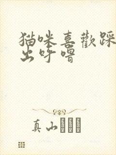 猫咪喜欢踩奶发出呼噜